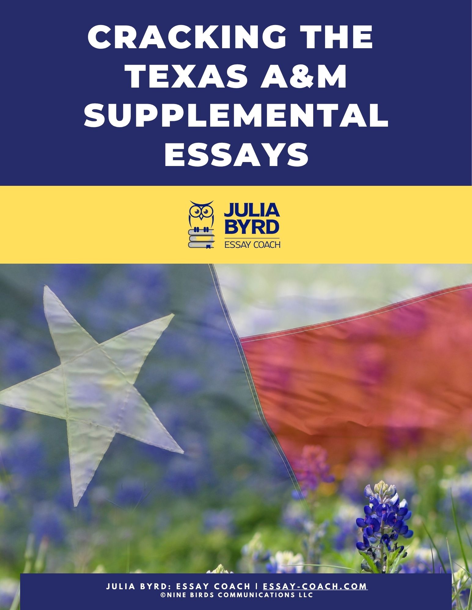 Cracking the Texas A&M Supplemental Essays cover